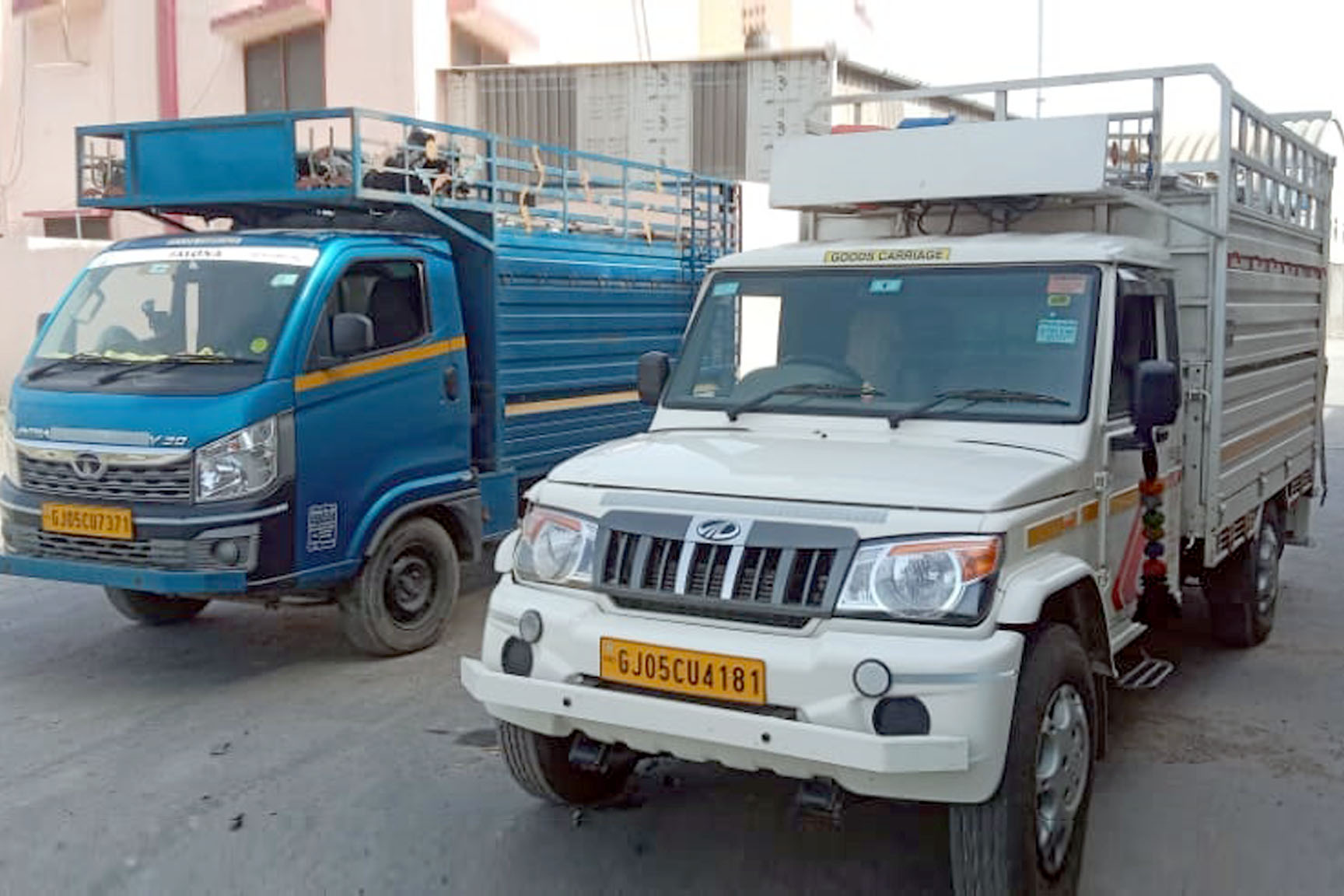 Road Freight Forwarding